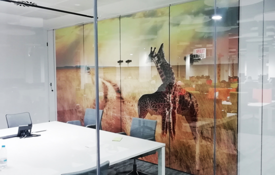Fotomural en oficina con imagen de africa